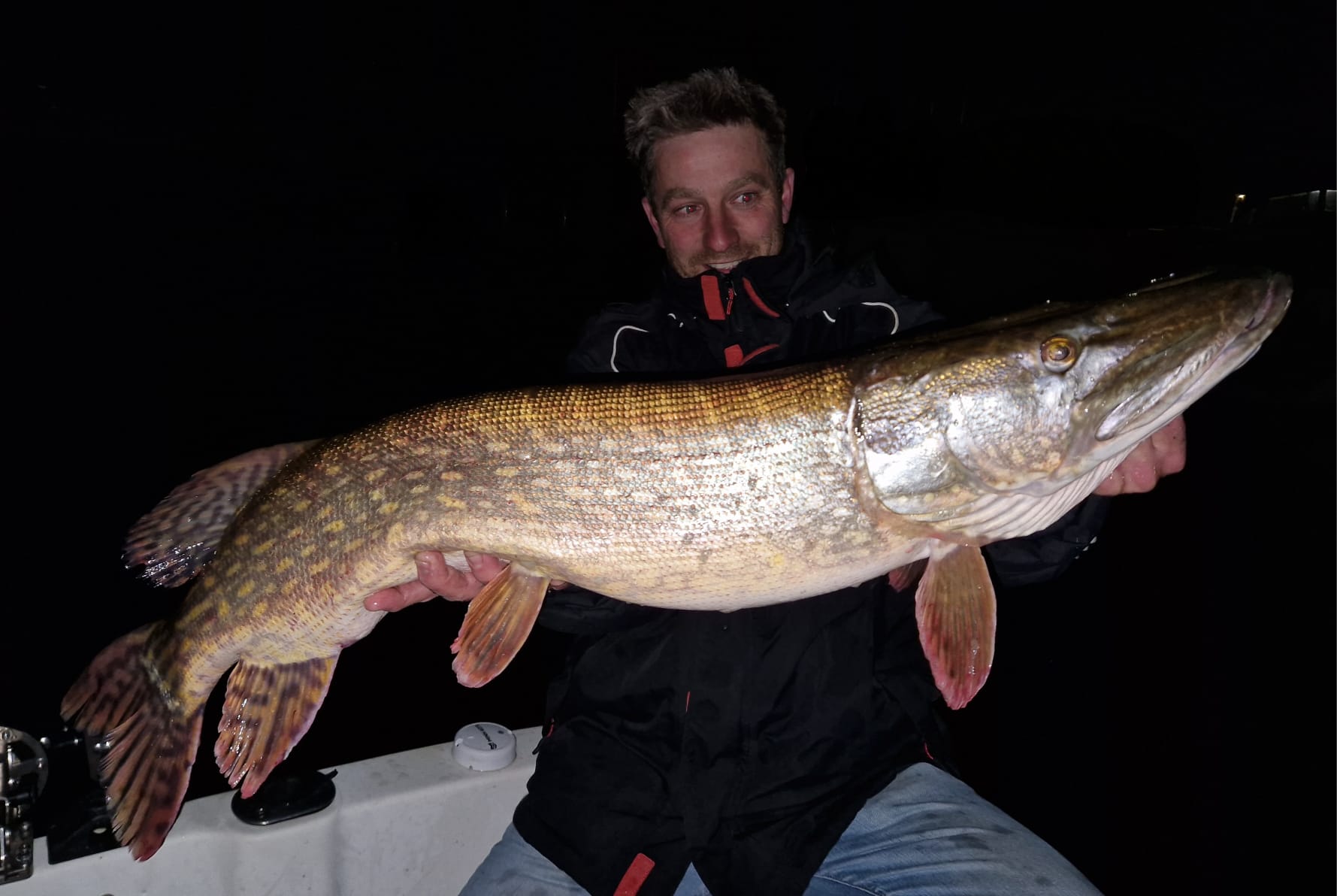 Snoek