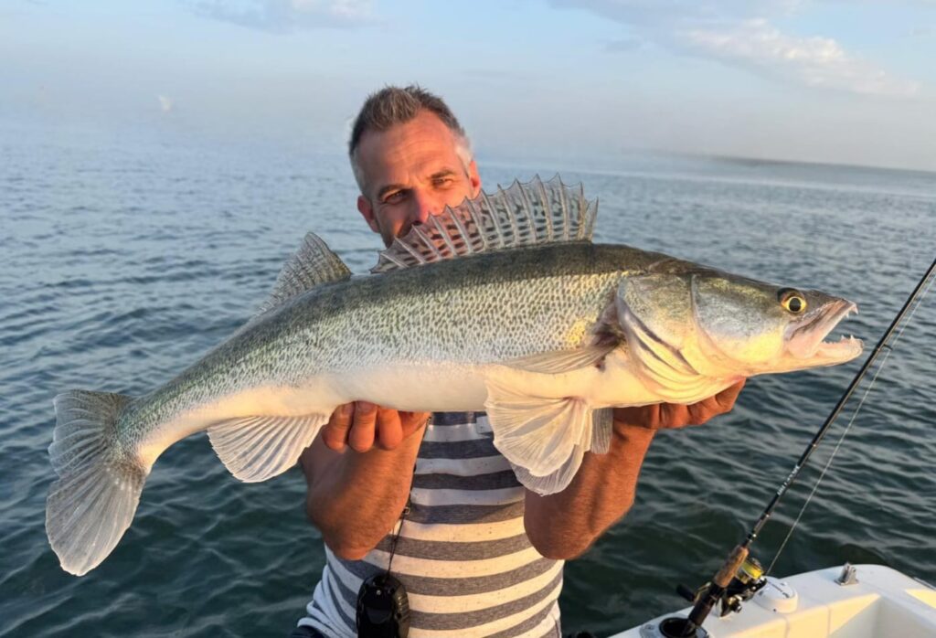 Snoekbaars